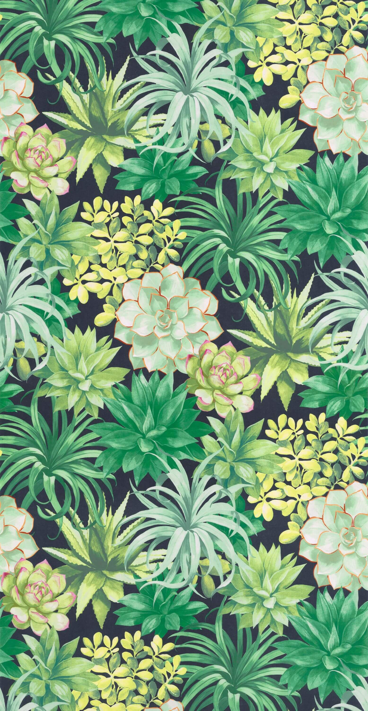 Casadeco - Botanica Echeveria Vert J Botanica