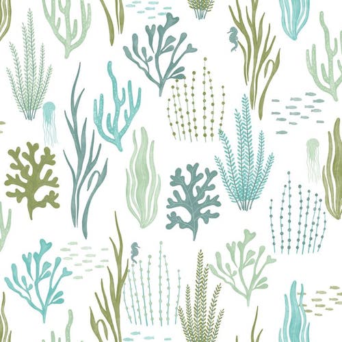 Caselio - Les Fonds Marins Vert Ble Les Mini Mondes