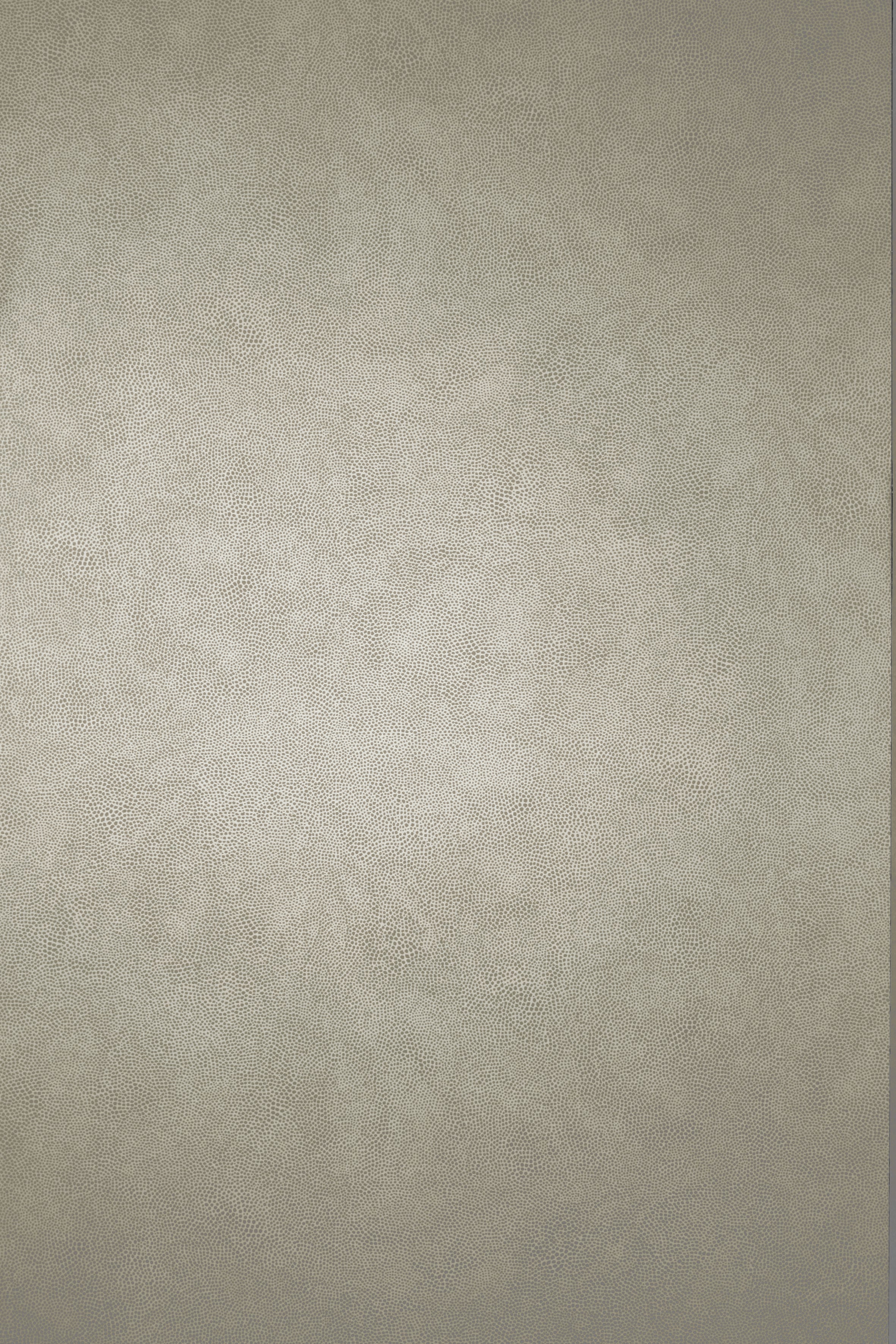 Osborne & Little - Mako Taupe