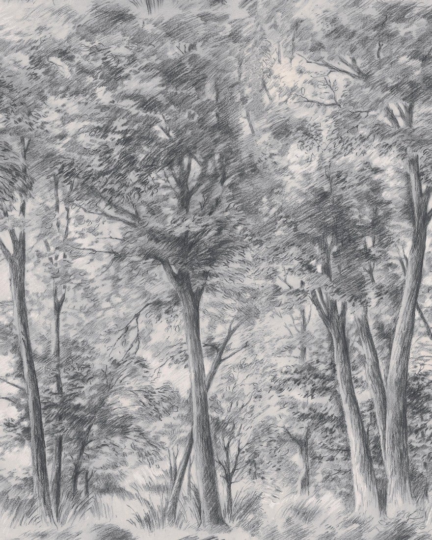 Boråstapeter - Sketch of Trees