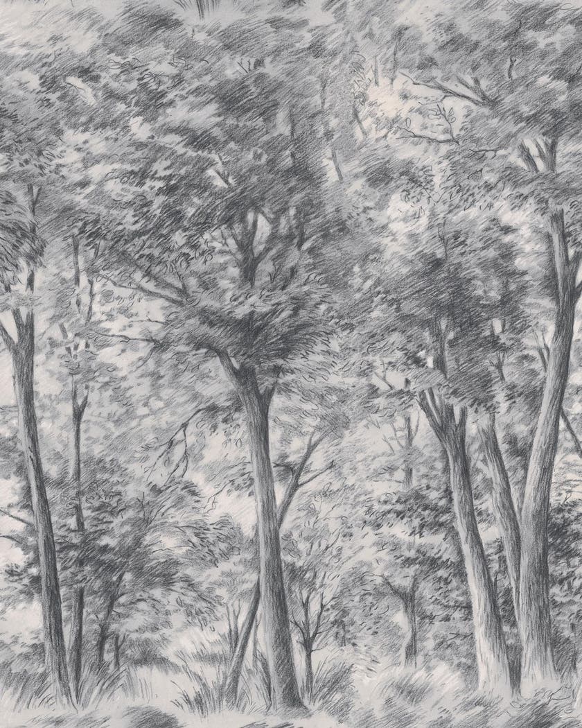 Boråstapeter - Sketch of Trees