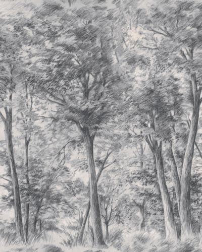 Boråstapeter - Sketch of Trees