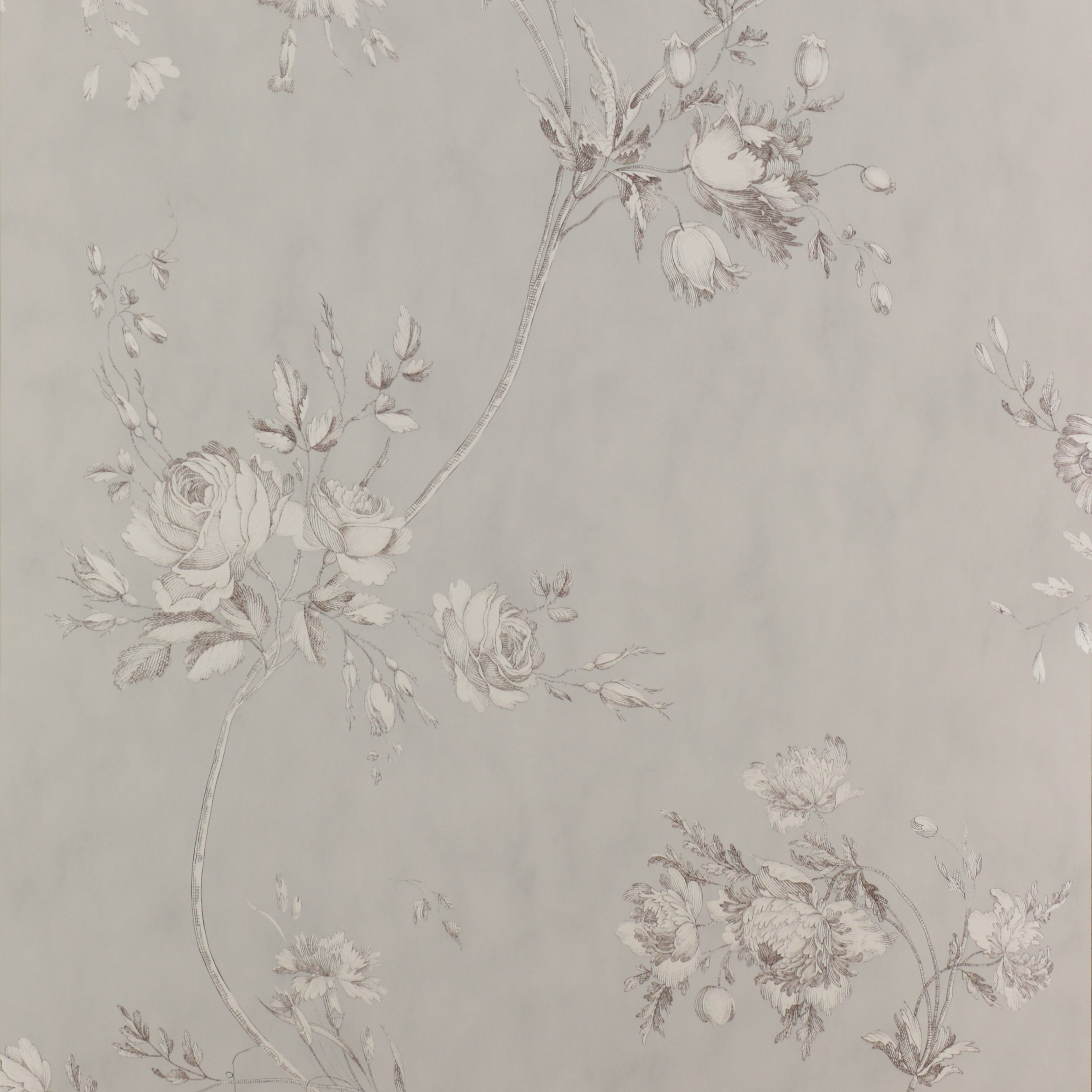 Colefax and Fowler - Darcy Grey