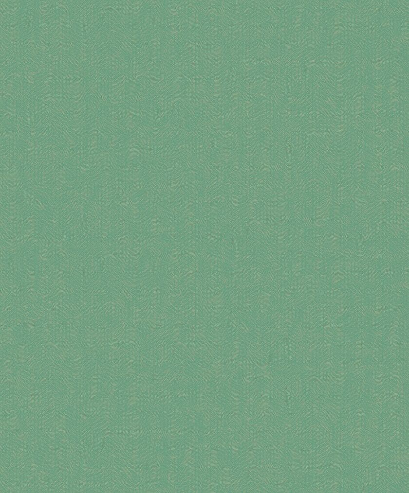 SO COLOR 4 UNI VERT SO COLOR 4