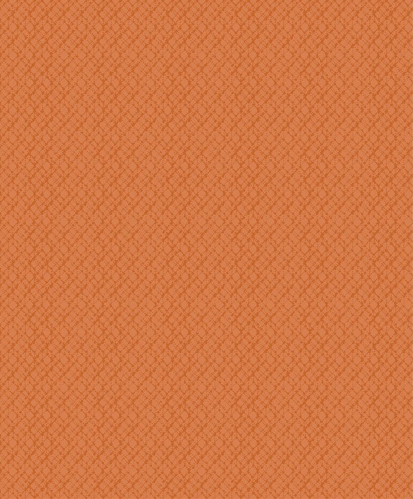 SO COLOR 4 PAOLO ORANGE SO COLOR 4