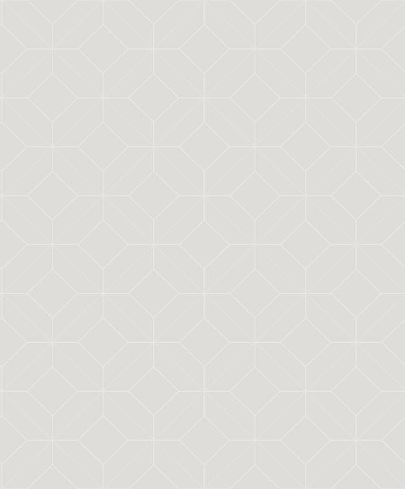 Casadeco - Precision Gris Plume Alchimie Cad