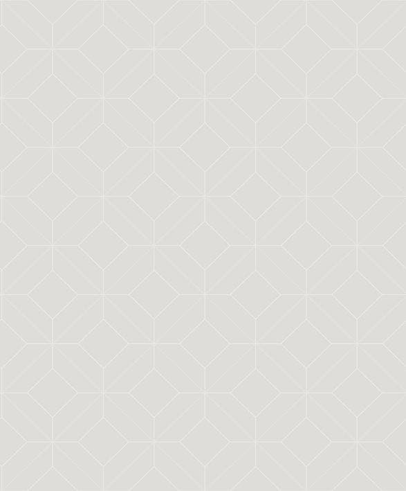 PRECISION GRIS PLUME ALCHIMIE CAD