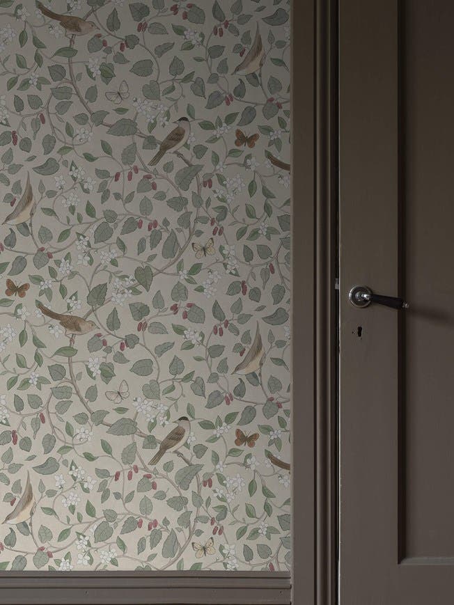 Boråstapeter - Sångfåglar