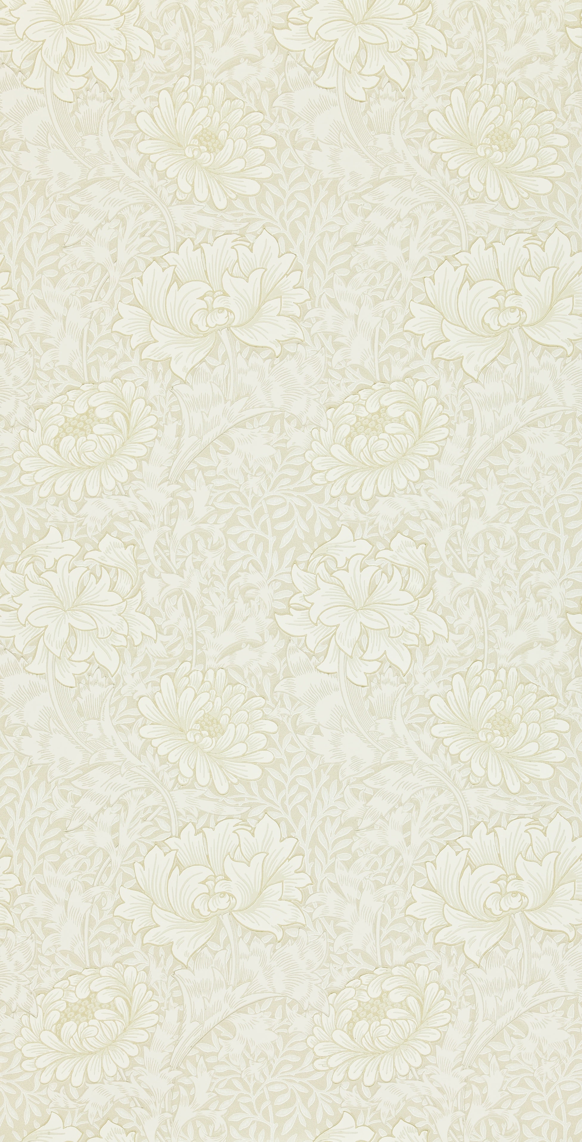 Morris & Co - Chrysanthemum Chalk Morris 160th Anniversary