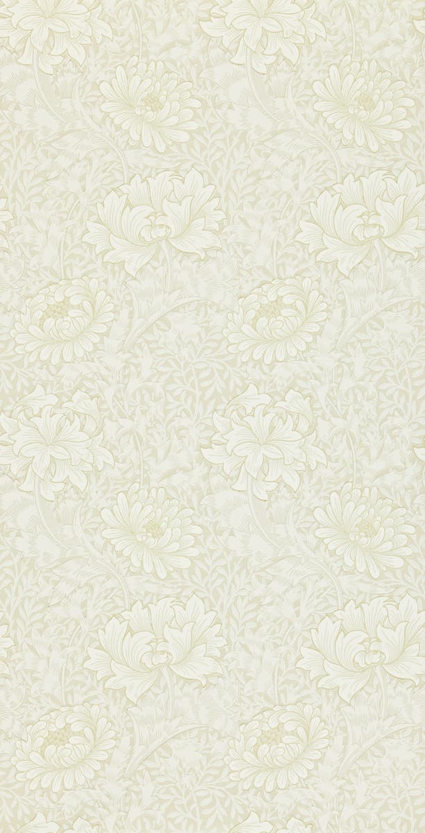 Morris & Co - Chrysanthemum Chalk Morris 160th Anniversary