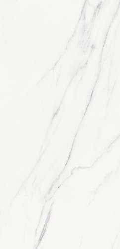 Polar Carrara 60x120 såg