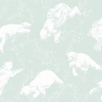 Polarn - Scandinavian Designers Mini