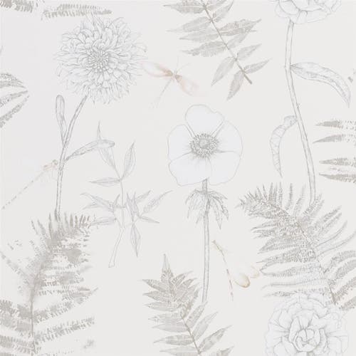 Designers Guild - Acanthus Edit Florals Wallpaper