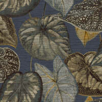 Tropical Leaves