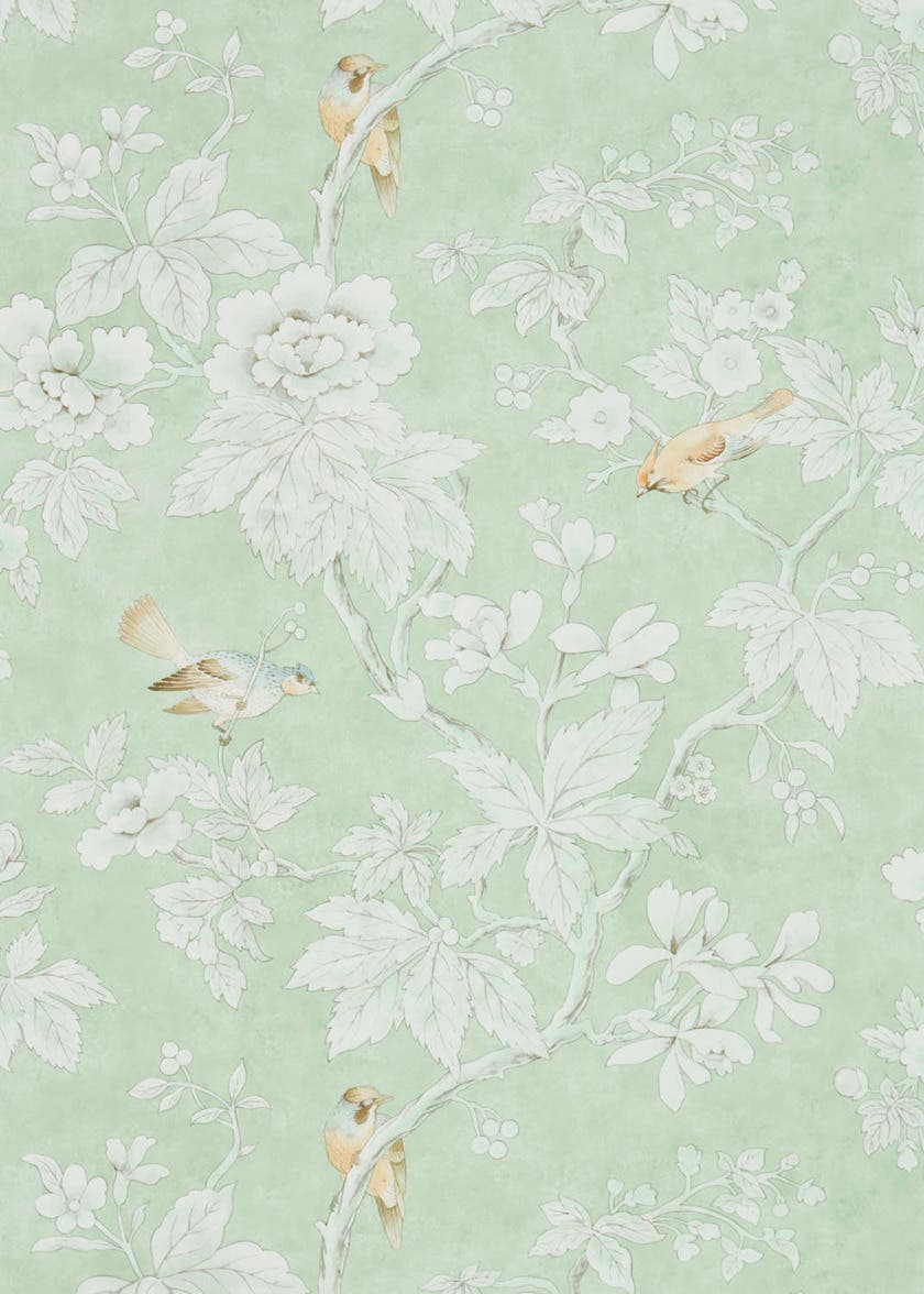 Chiswick Grove Sage Chiswick Grove Wallpapers