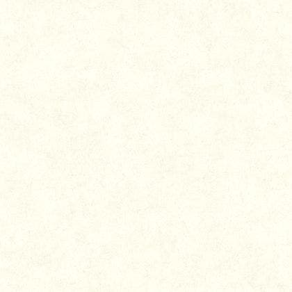 MUR A LA CHAUX BLANC ALB SO COLOR 5