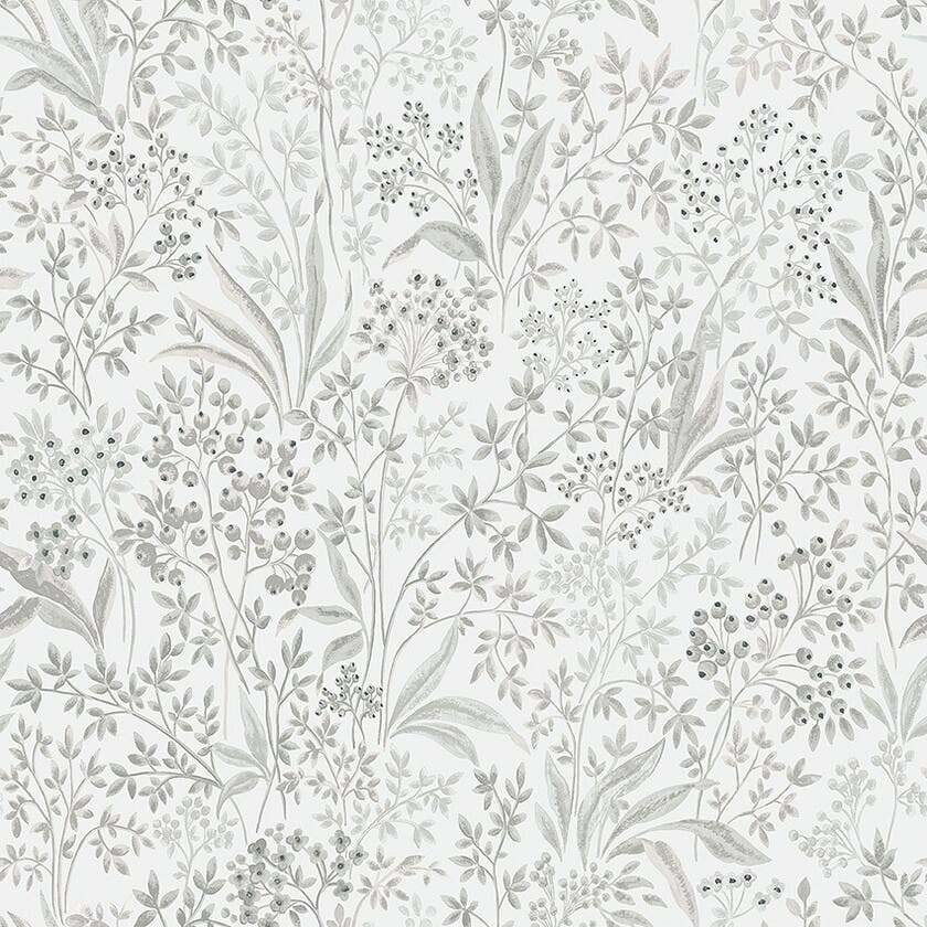 Nocturne - Vårt Arkiv