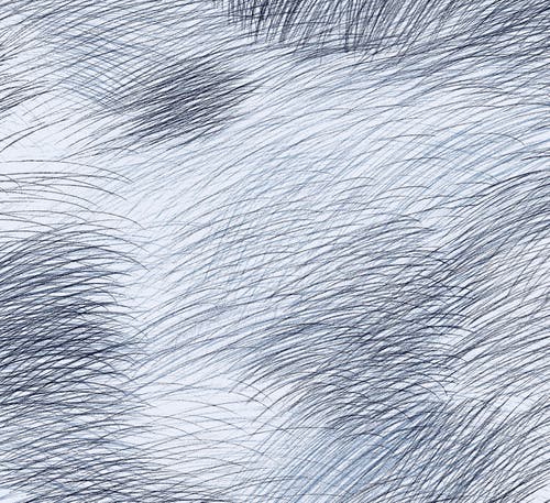 Midbec Tapeter - Lepo Marimekko 6