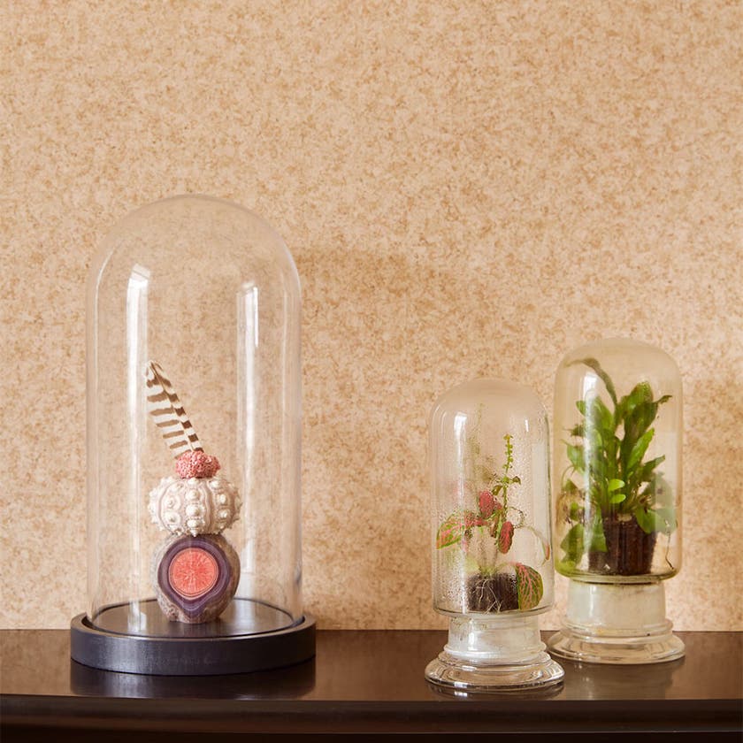 Eijffinger Intrade - Reunited