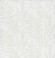 Verdi flock NW Camellia