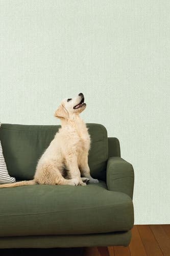 Caselio - Uni Mat Vert Amande Damier