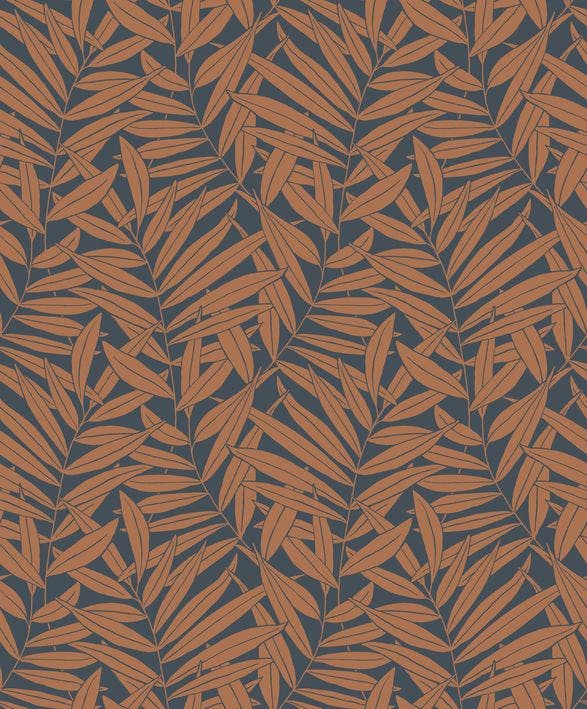 PRESTON ROUILLE DERBY