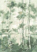 FORET BOREALE_M VERT EUCA RIVERSIDE 4