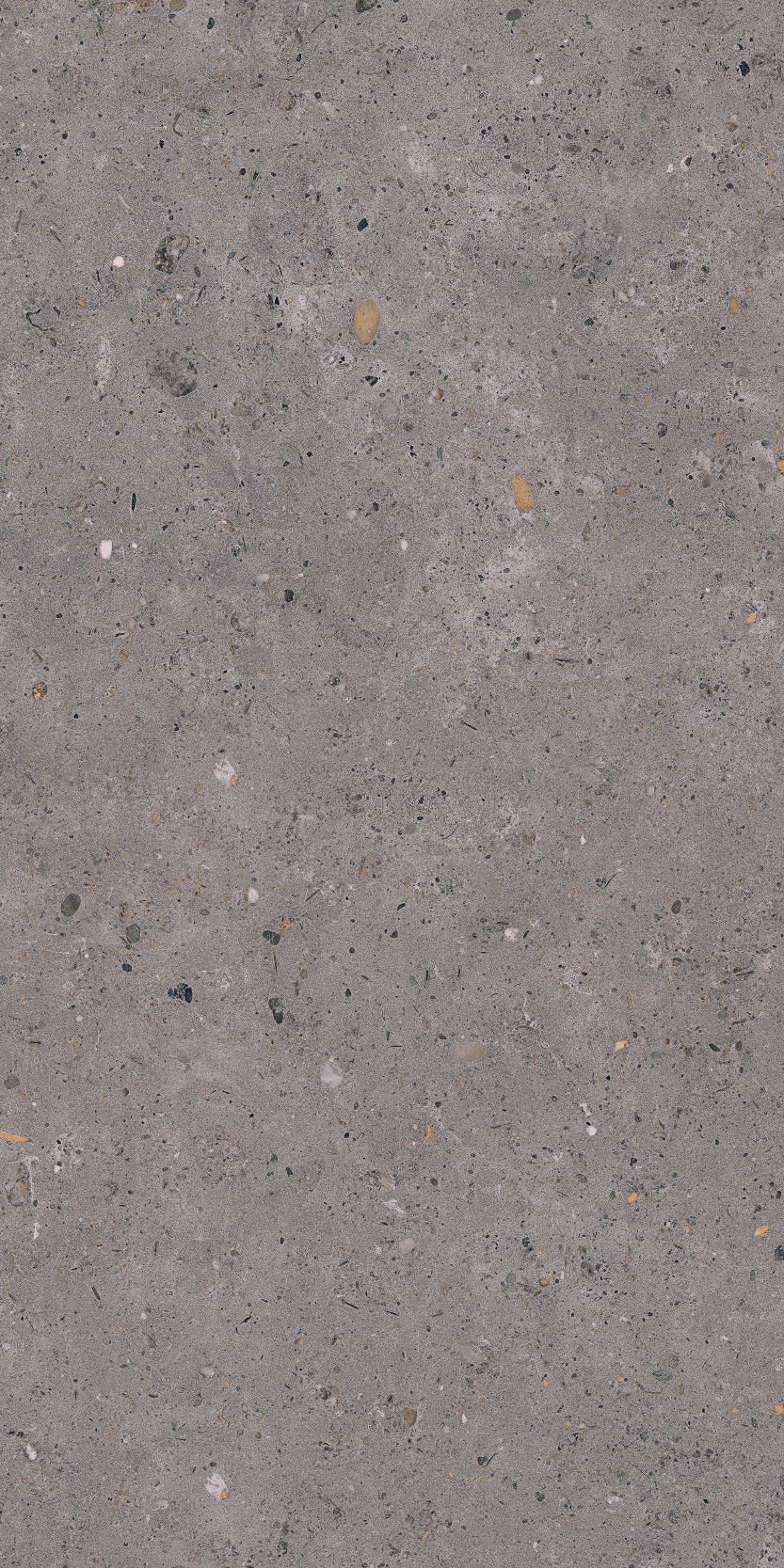 Koster Dark Grey 60x120 såg