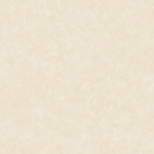 Caselio - Uni Mat Coquille Doeuf Ceramique