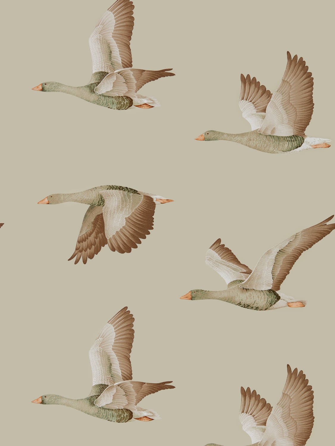 Sanderson - Elysian Geese Briarwood Elysian Wallpapers