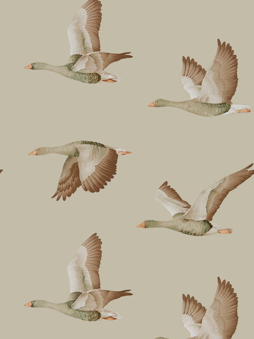 Sanderson - Elysian Geese Briarwood Elysian Wallpapers