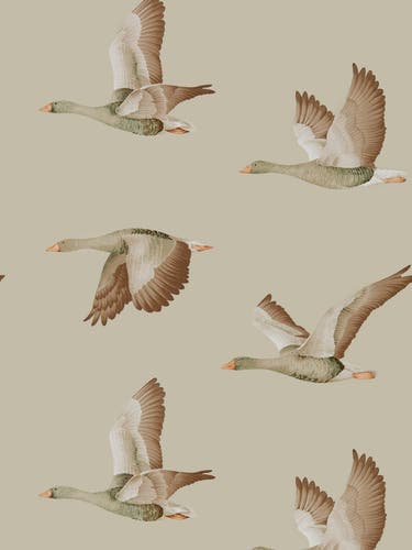 Sanderson - Elysian Geese Briarwood Elysian Wallpapers