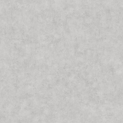 Caselio - Beton Uni Gris Beton Moye Beton 2