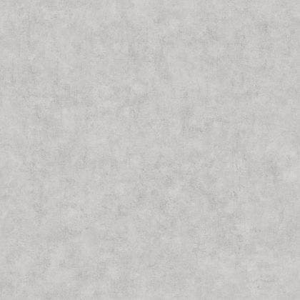 Caselio - Beton Uni Gris Beton Moye Beton 2