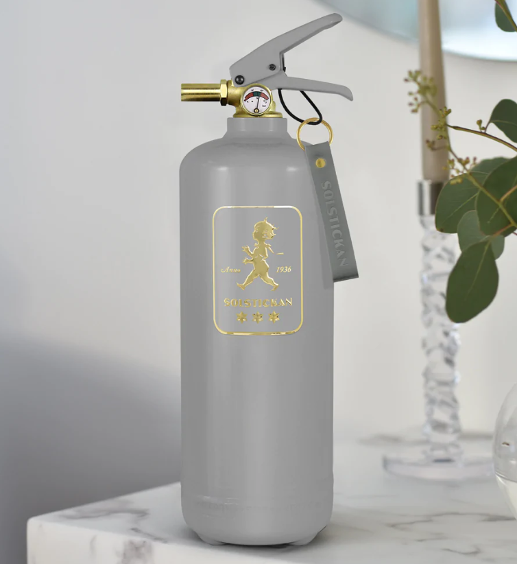 Brandsläckare 2 kg Grå/Guld