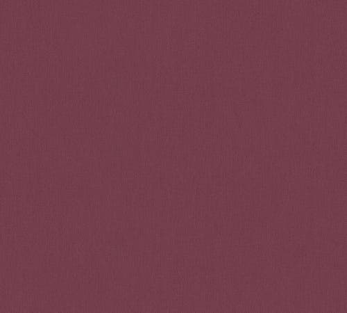 Intrade - Jungle Chic