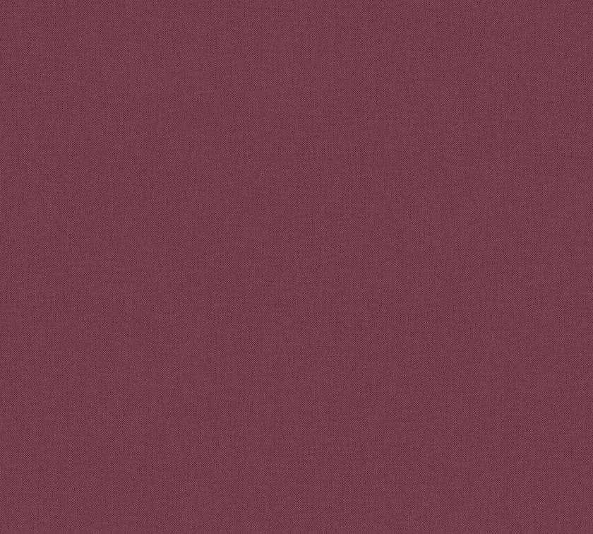 Intrade - Jungle Chic