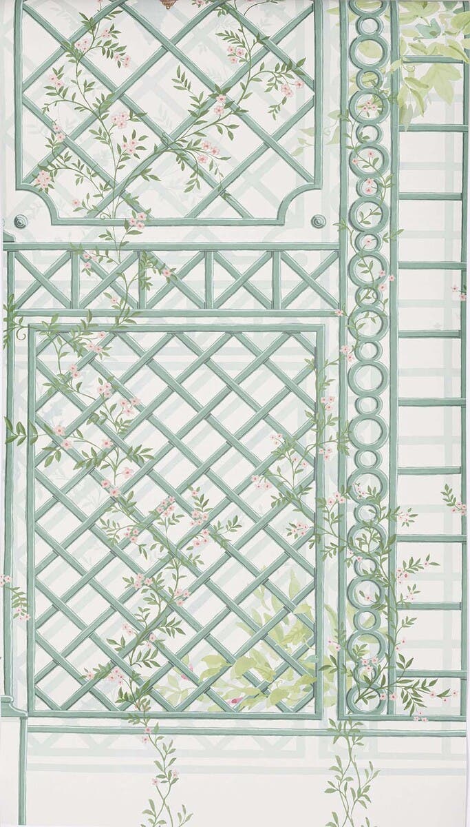 L'Orangerie Paon