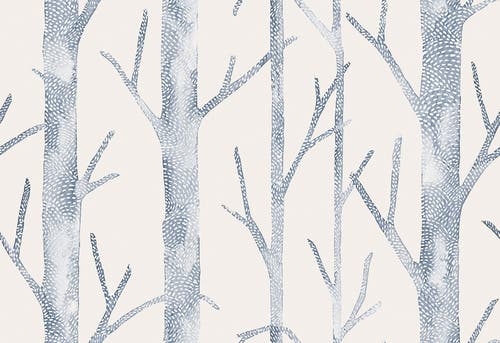 Jannelli & Volpi - Everett