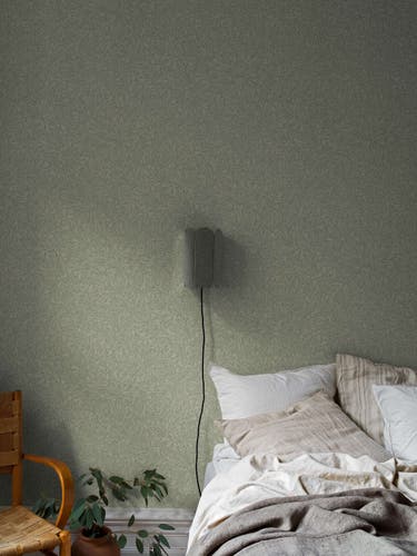 Boråstapeter - Salix Alba