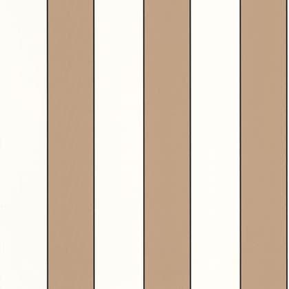 Caselio - Golden Lines Camel Blanc Basics