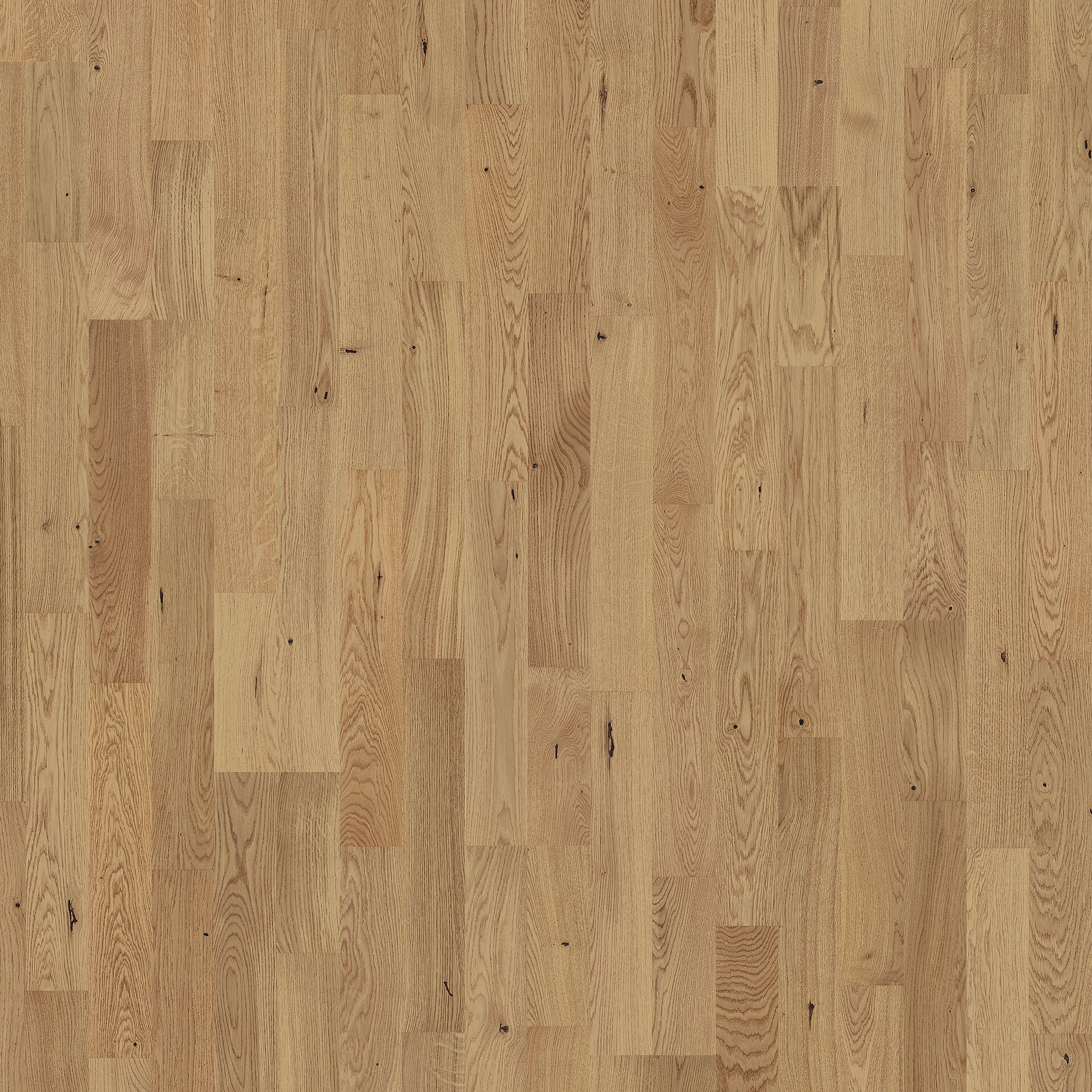 Pure | Ek Rustic Duoplank
