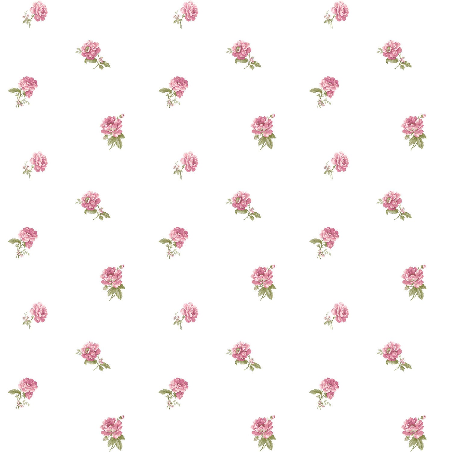 Carma - Blooming Garden