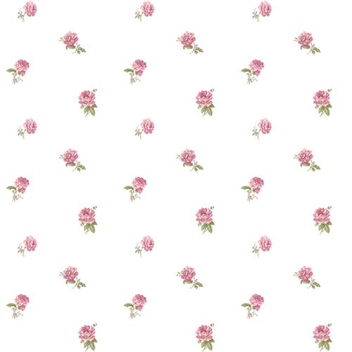 Carma - Blooming Garden