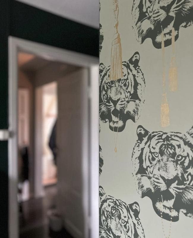 Coco Tiger Pistage LB1407