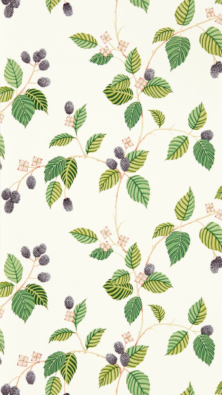 Sanderson - Rubus Blackberry Arboretum Wallpapers