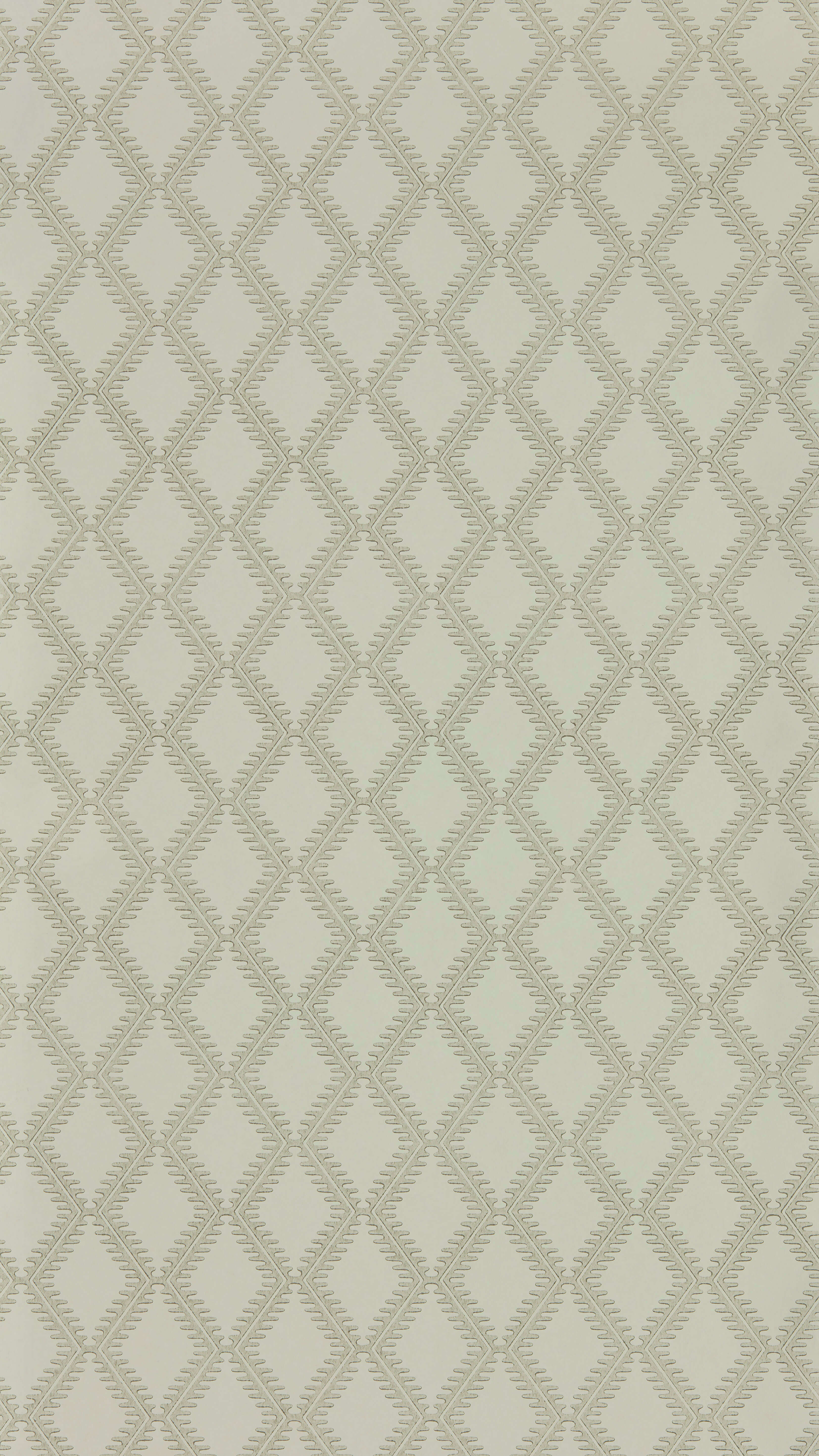 Sanderson - Witney Birch Littlemore Wallpapers