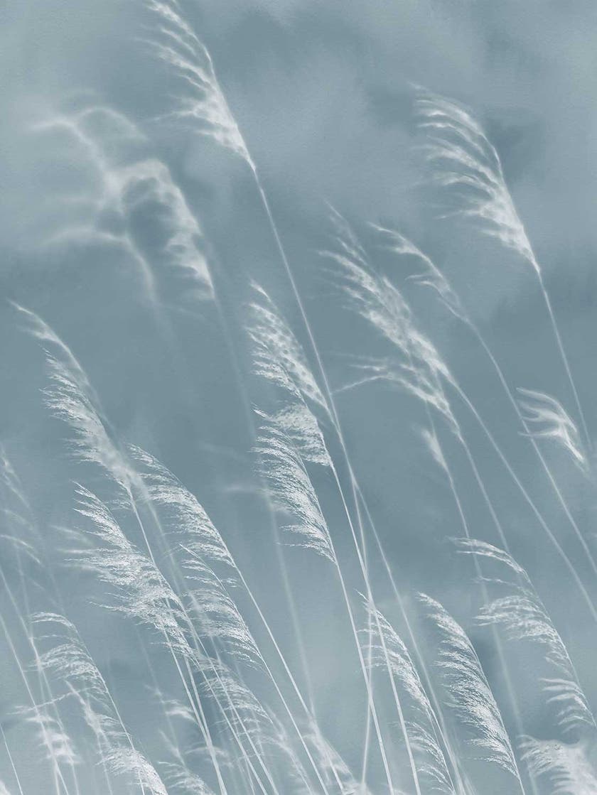 Eijffinger Intrade - Waterfront Väggbild