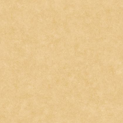 Caselio - Beton Uni Sable Beton 2