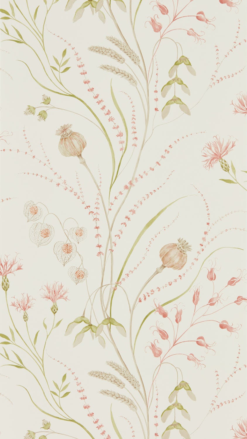 Sanderson - Summer Harvest Claret/Oli Embleton Bay Wallpapers